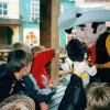 rava kamp 2000
